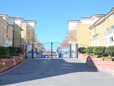 Picture 19